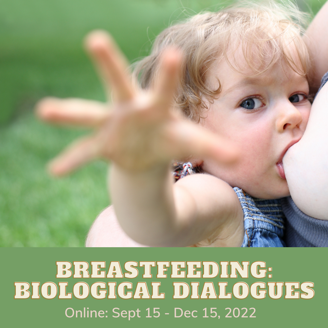 Breastfeeding: biological dialogues